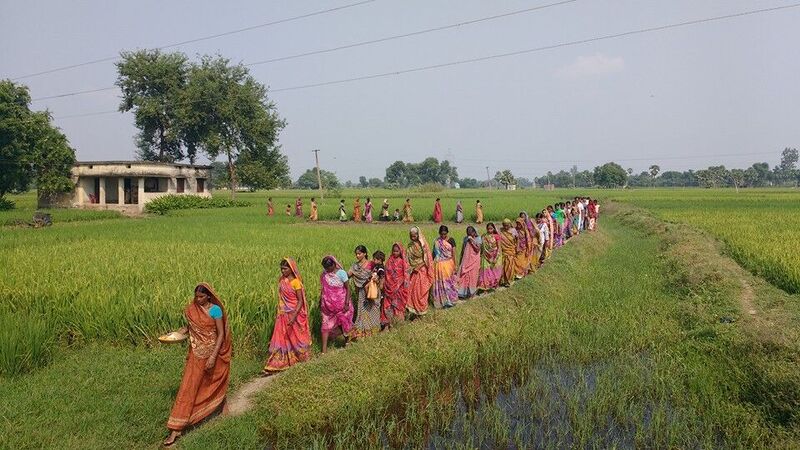 Women farmers walking through fields in Bihar, India.